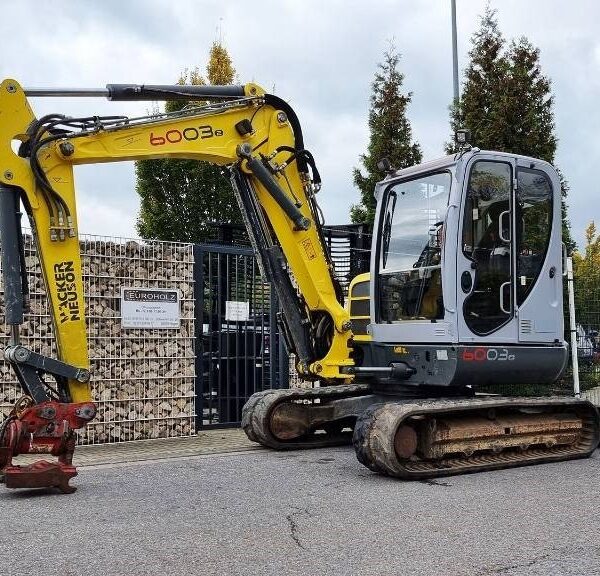Wacker Neuson 6003 RD avec 3 godets